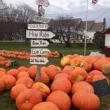 Stoughton Farm photo