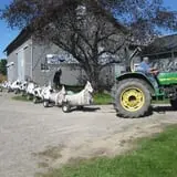 Stoughton Farm photo