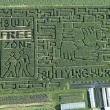 Stoughton Farm photo