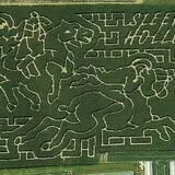 Stoughton Farm photo