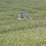 Stoughton Farm photo