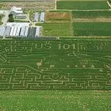 Stoughton Farm photo