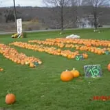 Stoughton Farm photo