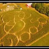 Pumpkin Creek Farms photo