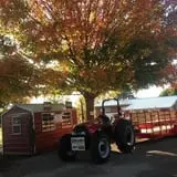 Pumpkin Creek Farms photo