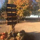 Pumpkin Creek Farms photo