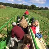 Pumpkin Creek Farms photo