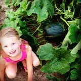 Pumpkin Creek Farms photo