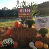 Pumpkin Creek Farms photo