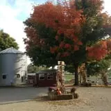 Pumpkin Creek Farms photo