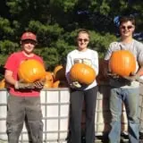 Pumpkin Creek Farms photo