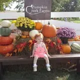 Pumpkin Creek Farms photo