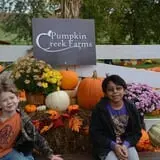 Pumpkin Creek Farms photo