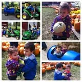 Pumpkin Creek Farms photo