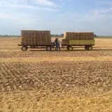 Pumpkin Creek Farms photo