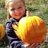 Pumpkin Creek Farms photo