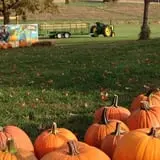 Pumpkin Creek Farms photo