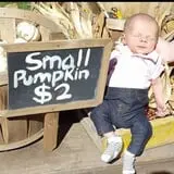 Pumpkin Creek Farms photo