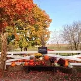 Pumpkin Creek Farms photo