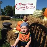 Pumpkin Creek Farms photo
