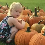 Pumpkin Creek Farms photo
