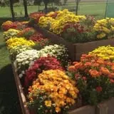 Pumpkin Creek Farms photo
