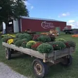 Pumpkin Creek Farms photo