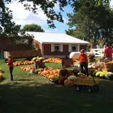 Pumpkin Creek Farms photo