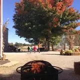Pumpkin Creek Farms photo