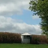Pumpkin Creek Farms photo