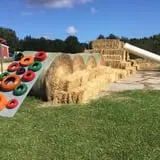 Pumpkin Creek Farms photo