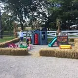 Pumpkin Creek Farms photo