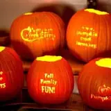Pumpkin Creek Farms photo
