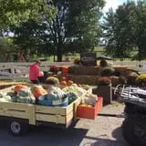 Pumpkin Creek Farms photo