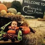 Pumpkin Creek Farms photo