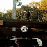 Slater Park Haunted Tunnel photo
