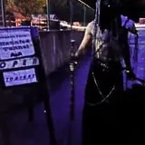 Slater Park Haunted Tunnel photo