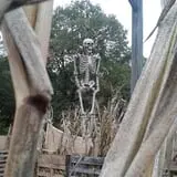 Slater Park Haunted Tunnel photo