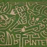 Pinter's Gardens and Pumpkins photo