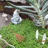 Pinter's Gardens and Pumpkins photo