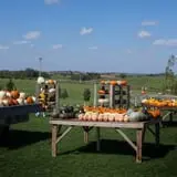 Pinter's Gardens and Pumpkins photo