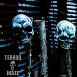 Terror Maze photo