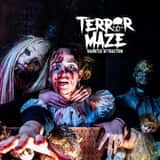 Terror Maze photo