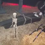 Spooky Stalks Haunted Cornfield photo