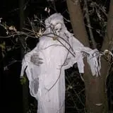 Spooky Stalks Haunted Cornfield photo
