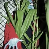 Spooky Stalks Haunted Cornfield photo