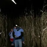 Spooky Stalks Haunted Cornfield photo