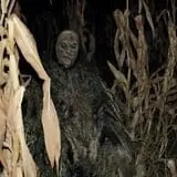 Spooky Stalks Haunted Cornfield photo