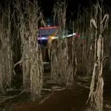 Spooky Stalks Haunted Cornfield photo