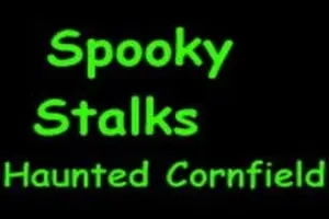 Spooky Stalks Haunted Cornfield